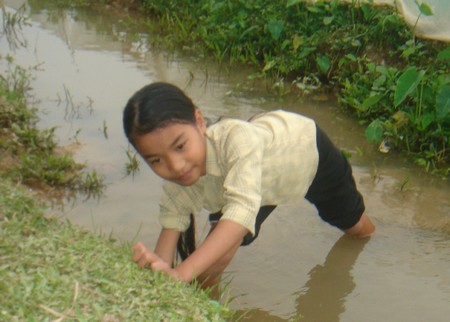 Dù gia cảnh vô cùng khó khăn, ngoài giờ học phải đi bắt lươn, bán phế liệu kiếm sống, cô bé Nguyễn Thị Tươi vẫn luôn đứng đầu làng về thành tích học tập, và là học sinh tốp đầu của một lớp tại trường chuyên Bạch Liêu, Nghệ An. Ảnh: Trường Long - Dũng Nguyễn.