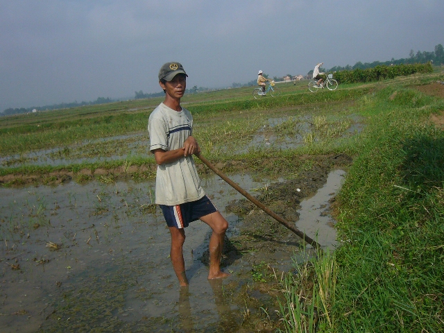 201-5-setdanh.jpg