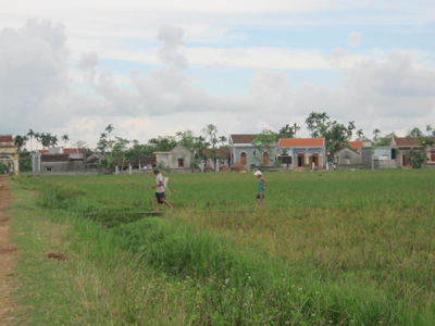 langsetdanh-5.jpg