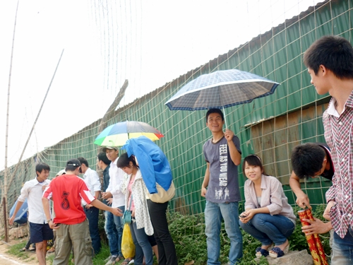 Đông đảo cổ động viên đội nắng cổ vũ cho vòng chung kết