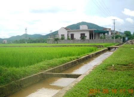 danhhoa2-25345345