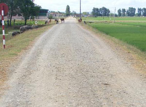 Tuyến đường tỉnh lộ 534 chạy qua xã đang xuống cấp do lu lụt cần sớm nâng cấp sửa chữa