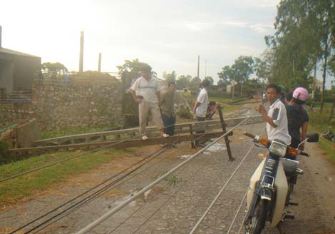 Hàng loạt cột điện bị đổ