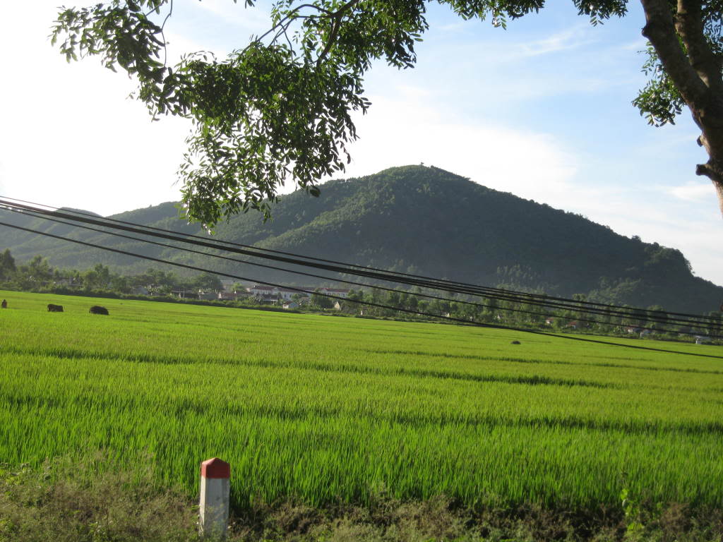 Rú Gám nhìn từ tỉnh lộ 538 - ảnh Ngô Ngọc Huy