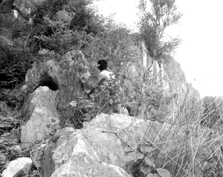 Tiếng khóc chim sáo