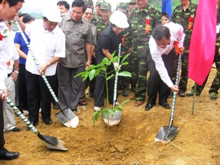 nghệ an ra quân trồng mới cây cao su