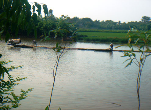 chet-duoi-sau-bao-so-3-2011