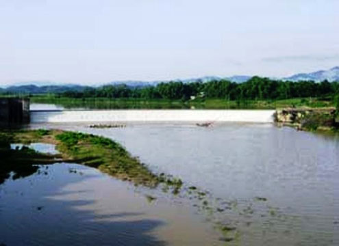 co-giao-tieu-hoc-chet-duoi