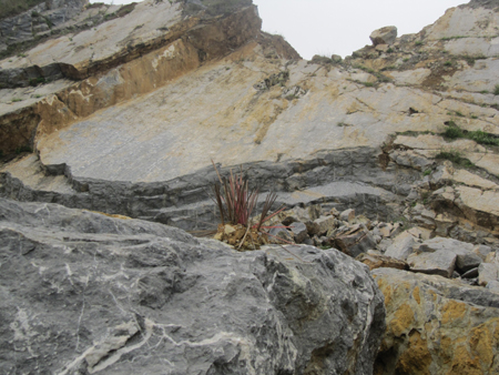 Nỗi ám ảnh tại Lèn Cờ - một năm sau ngày xảy ra thảm họa khiến 18 người chết, 7 người bị thương