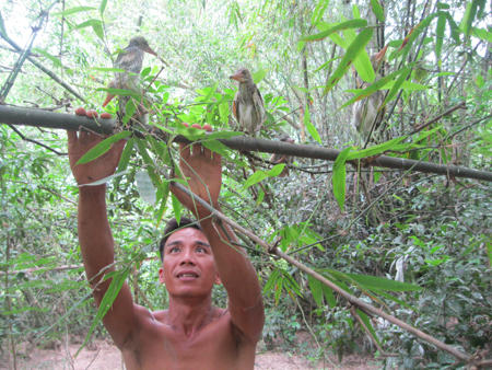 Anh Ngân cứu hộ cò non.