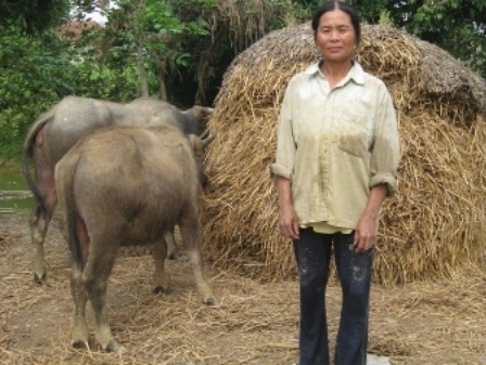 Người mẹ khốn khổ Hoàng Thị Điểm. Ảnh: Lê Hoàng