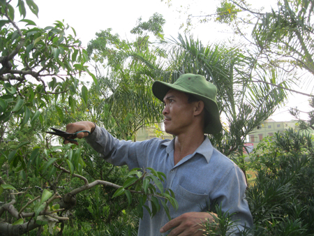 Anh Vũ Đình Chiến đang tạo dáng cho cây cảnh.