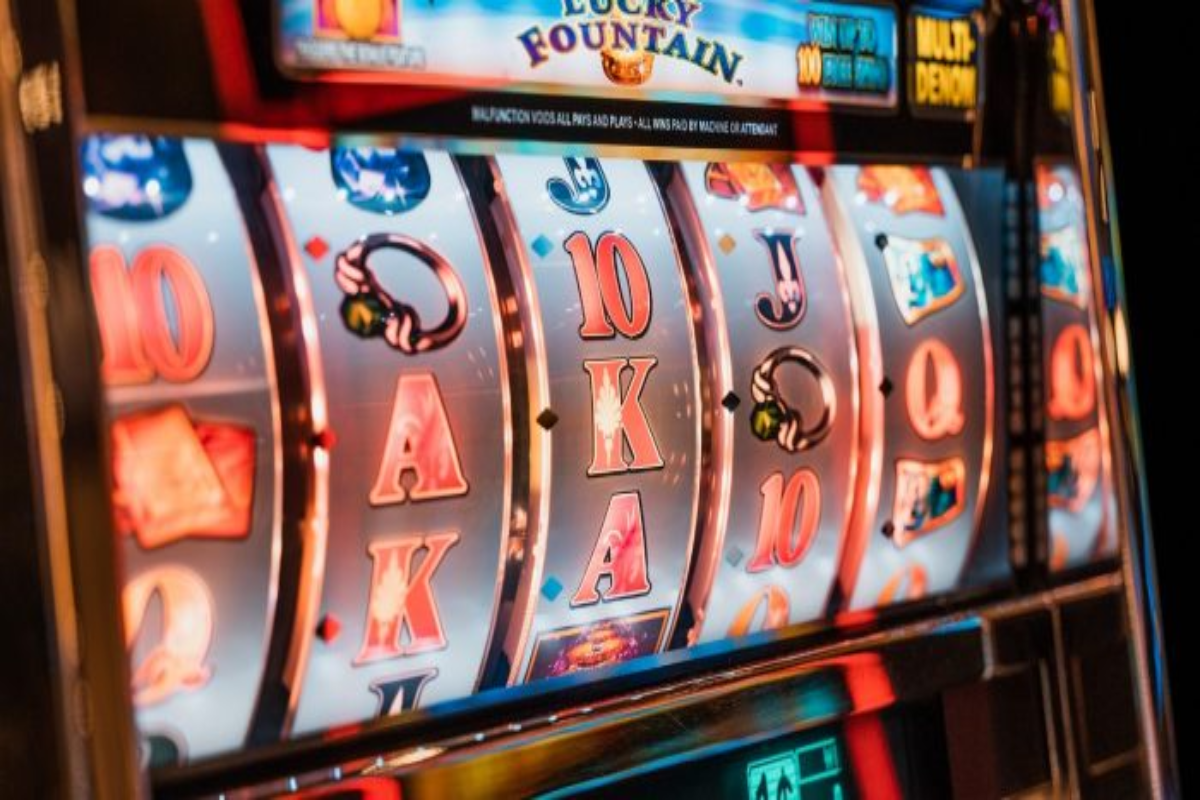 Spin Your Way to Riches at Slotbunny Casino!