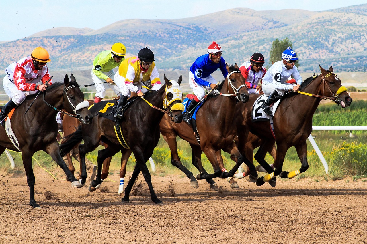 Essential betting utilities to transform your game today